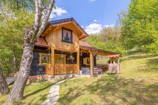 Chalet Birchwood With Whirlpool and Sauna - Happy Rentals - Hum Breznički - 0