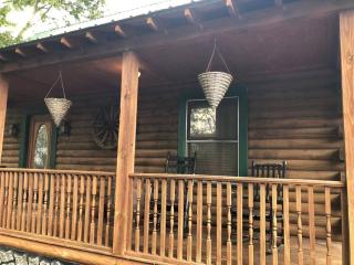 Southern Charmed Cozy Log Cabin - Charleston - 1