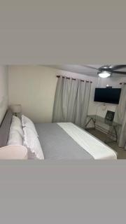 Quiet Central Muse - Kingston - 6