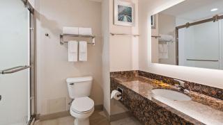 Best Western Plus Wilkes Barre-Scranton Airport Hotel - Pittston - 9