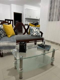 Cozy Apartment in the heart of Santiago - 1