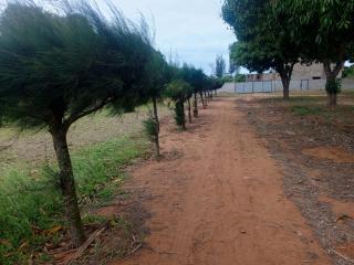 Casa Zavala - Marracuene - 7