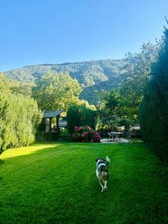 Pereje Garden - Pereje - 6
