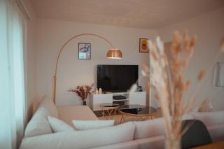 Sky Paradise 20min to zurich city centre - Widen - 0