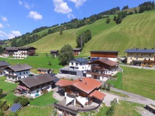 Bichl Viehofen - Saalbach-Hinterglemm - 2