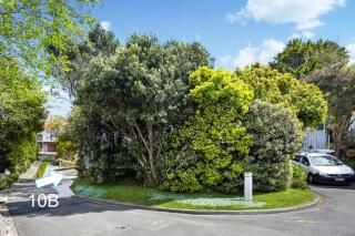 Stunning view, privacy, close to ferry & brand-new - Wellington - 8
