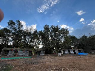 Camping en granja los nogales - 9