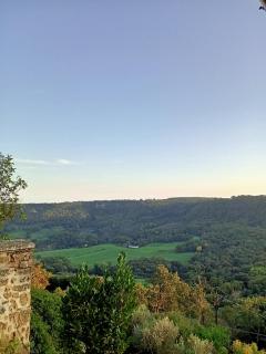 B&B Bellavista - 7