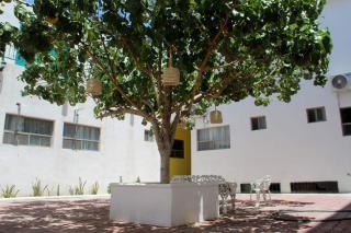 Hotel Casa Hidalgo - 2