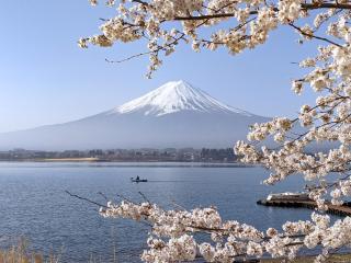 Kumonoue Fuji Hotel - Vacation STAY 13703v - Oishi - 5