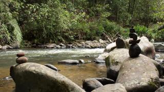 Glamping Reserva Natural Amalaka - 9