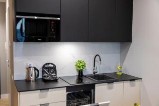 Luxury apartment, SPA zone, Szczecin - Stettin - 1