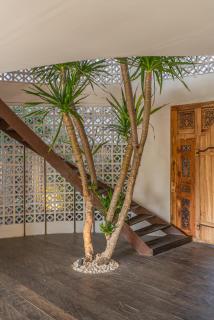 Rimba Villas - Luxury Lush Estate in Canggu - Canggu - 4