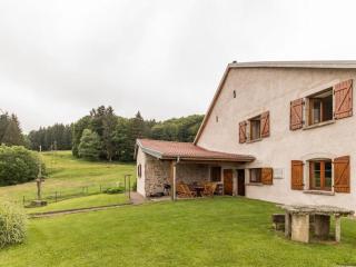 Ancienne ferme vosgienne rénovée, idéale pour famille - FR-1-583-94 - La Longine - 1