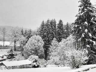 Authentique fermette rénovée avec cheminée dans les Vosges - FR-1-583-3 - La Vaivre - 5