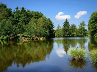 Maison isolée dans les Vosges avec cheminée, randonnées, parking privé - FR-1-583-103 - - 3