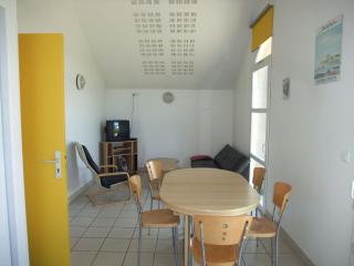 Pavillon moderne avec terrasse et vue sur rivière - FR-1-583-26 - - 1