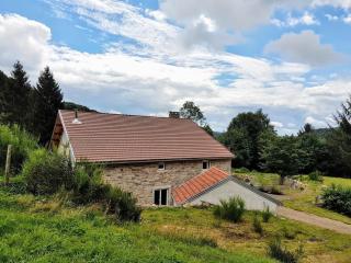Ancienne ferme rénovée au cœur des Vosges avec terrasse couverte - FR-1-583-114 - Saint-Bresson - 9