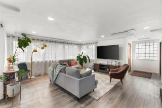 The Squirrel Near UPS, Proctor, and Old Town - 3