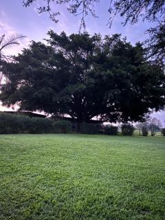 The Farmery Garden and Guesthouse - 8