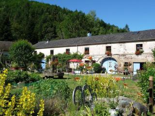 Moulin serein dans les Vosges du Sud - Gîte authentique et confort moderne - FR-1-583-112 - 0
