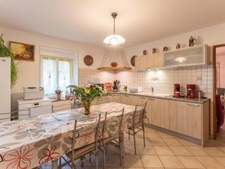 Grand gîte familial tout confort à Briaucourt - FR-1-583-190 - Briaucourt - 9