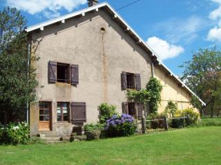 Grande maison familiale en nature, proche Vosges - WIFI, parking - FR-1-583-53 - 0