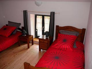 Gîte nature Vosges, animaux admis, terrasse, poêle à granulés - FR-1-583-189 - La Rosière - 2