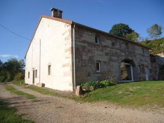 Ancienne ferme rénovée au cœur des Vosges avec terrasse couverte - FR-1-583-114 - Saint-Bresson - 8