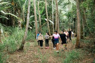 Camp Lù Yīng - Bukit Tinggi - 3