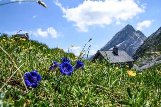 Scheffmannlehen Ferienwohnung Nr 2 - Ramsau - 9
