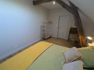 Maison de charme rénovée au cœur du Val de Loire avec parking et wifi inclus - FR-1-590-526 - 1