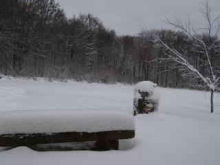 Gîte nature & confort rénové, Plateau des 1000 étangs - WIFI, parking - FR-1-583-302 - 4