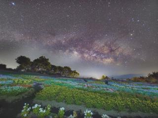くじゅう花公園 キャンピングリゾート花と星 - Kuju - 3