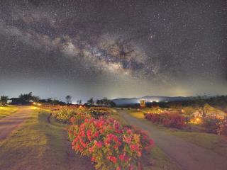 くじゅう花公園 グランピングパーク花と星 - 7