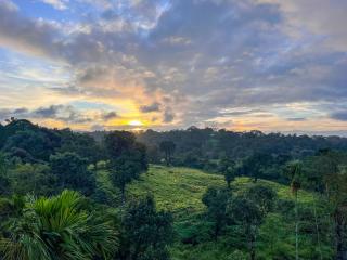 ANANYA GREENS - RESORT - Madikeri - 2