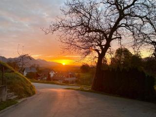 Apartma Lastovka - Bled - 9