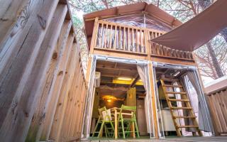 Camping Il Capannino Glamping Village - Marina di Bibbona - 9