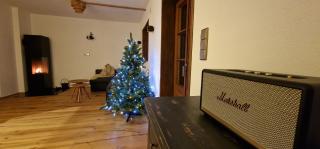 Chalet Alpl - Ferienwohnung Waldblick mit Sauna, Kamin & Whirlwanne - Hochrindl - 2