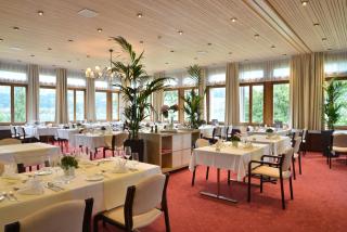 Hotel Kurhaus am Sarnersee - Sarnen - 7