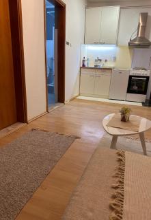Lovely one bedroom - Belgrade - 5