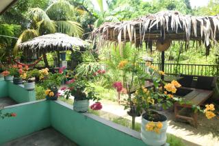 Raja Ampat Sandy Guesthouse - Saonek - 1