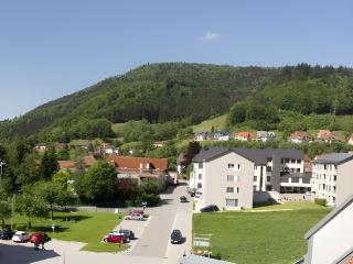 Ferienwohnung Dietsche Todtnau - Todtnau - 8