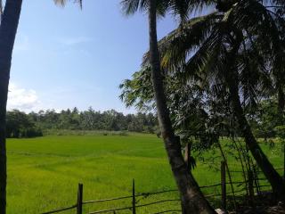 Thalduwa pavilion - 9