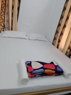 Eha Mundro Island Homestay - Munroe Island - 8