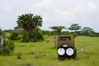 Africa Safari Nyerere - Kwangwazi - 8