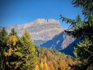 Mountain Cabin - vue montagne - 4 personnes - Les Houches - 3