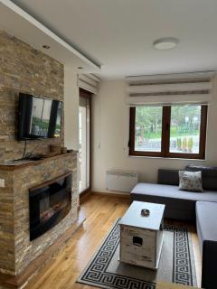Zlatibor Relax & Spa Apartman - Zlatibor - 1