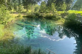 Rosentaler Privatunterkunft - - 5