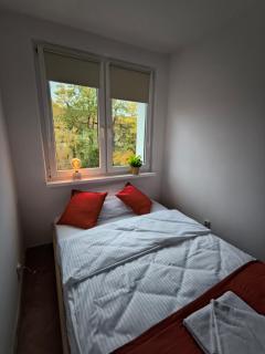 Tabago Studio 28 - Legnica - 1